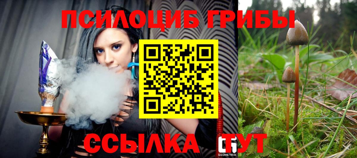 Нефтекумск  Псилоцибиновые грибы ЛСД  Вход с VPN  Галлюциногенные грибы Cubensis 